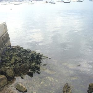 Meet your Posher, Kenny